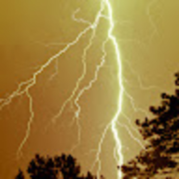 Meet your Posher, Myles - Picture 1 of 1